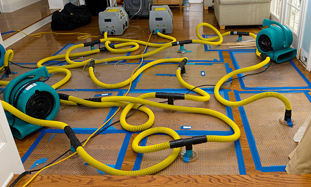 Professional Crawl Space Water Removal technician working in Tazewell, VA
